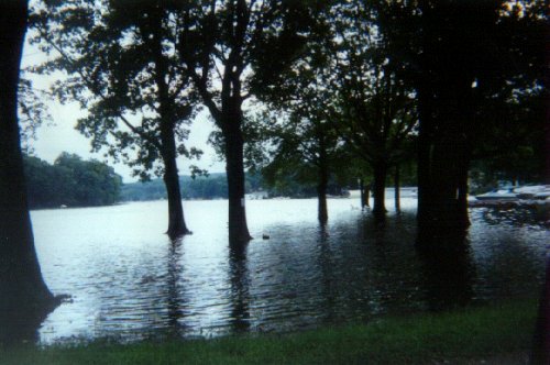 Fishing area next to Lake's End