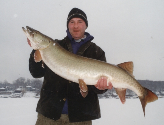 46 inch muskie