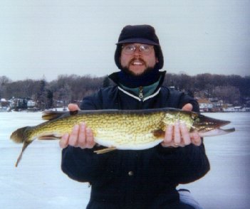 4lb.12oz. pickerel