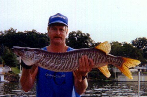John's 15lb. tiger muskie