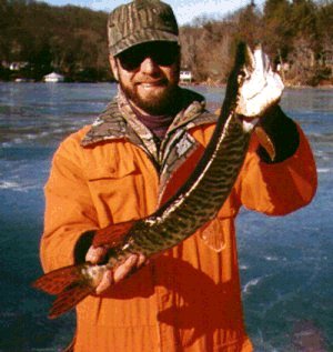 Mayfield's Tiger Muskie