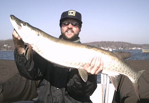 39 inch muskie