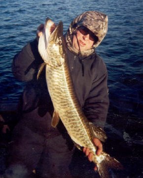 Carl's tiger muskie