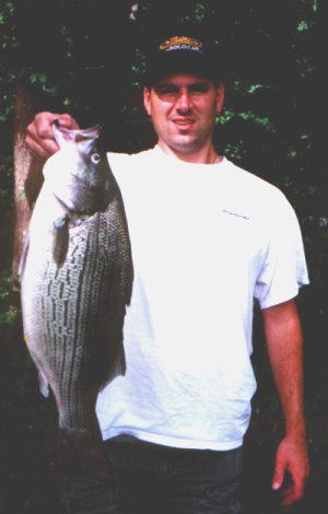 Joe Crouch 10lb 13oz Striper 8-18-01