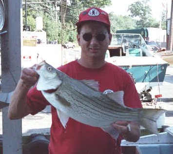 Jim Salerno's 7lb.2oz. striper
