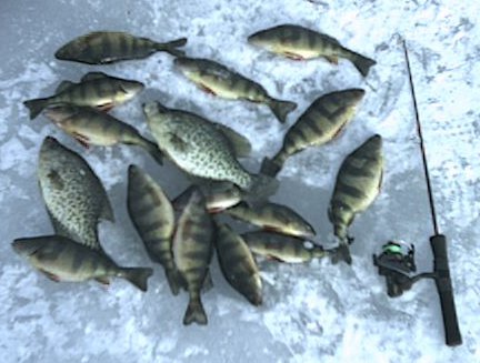 Polar Pat's Panfish Pot-Pourri