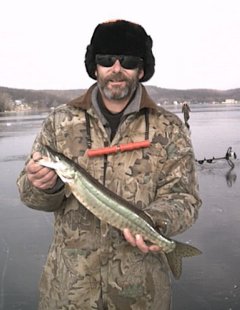 Bob's mini-muskie