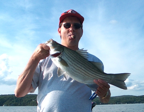 Jim's striper