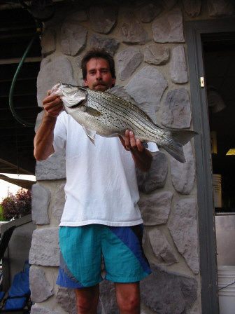 Stefan's 7lb. 14oz. striper