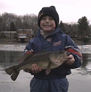 Tommy's 3 plus bass