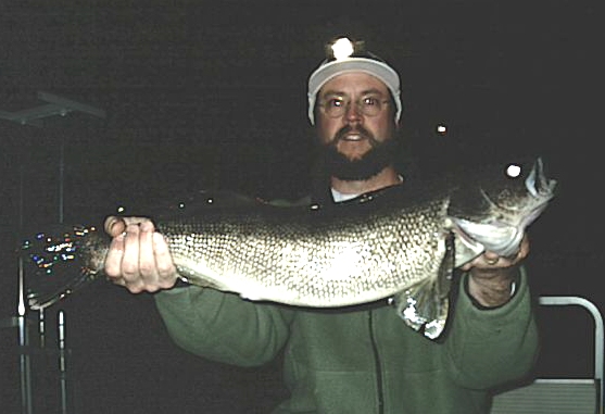 7-1/2lb. 27 inch walleye