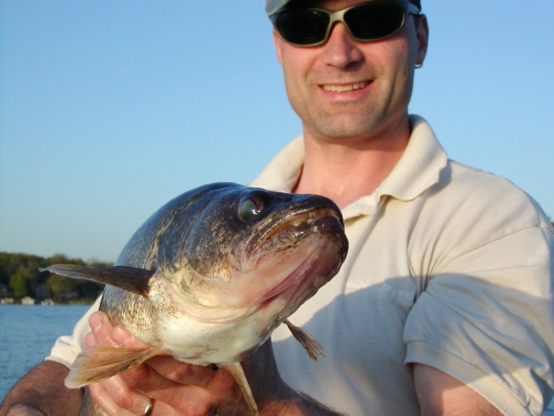 Scott Potten's walleye