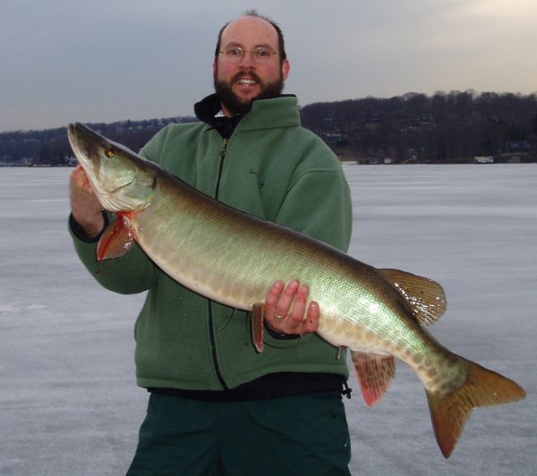 40 inches