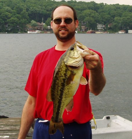 largemouth bass