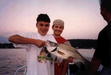 Louis Lillman's Hybrid Striped Bass