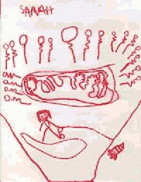 Sarah's Dad fishing for Striped Bass on Lake Hopatcong