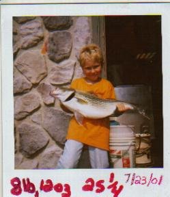 Kenny Stelmack's striper