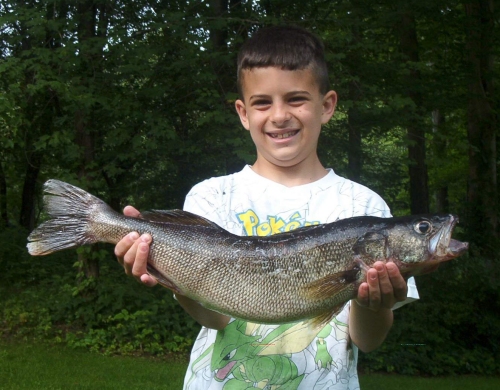 Joseph Crouch's Walleye