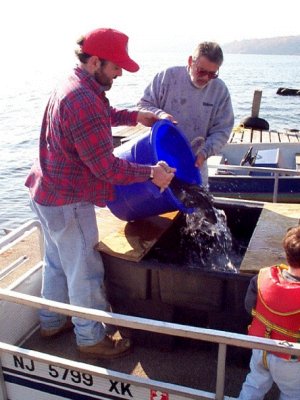 Lou and Dan loading up.